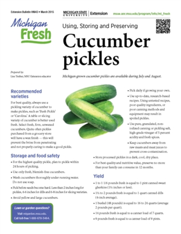 Michigan Fresh Using Storing And Preserving Cucumber Pickles