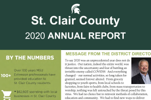 St. Clair County 2021 Annual Report