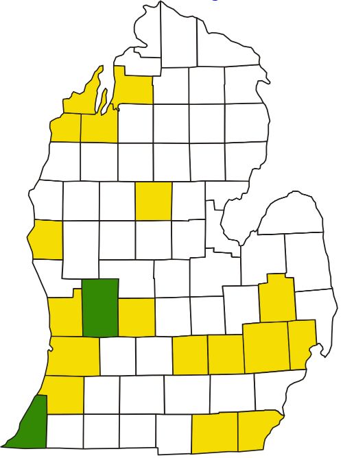 Four of the more than 60 traps in the monitoring network caught BMSB from Berrien and Kent counties (highlighted in green) in Lower Michigan. Counties highlighted in yellow are also being monitored, but have yet to capture any BMSB in traps this season.