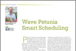 Wave petunia smart scheduling