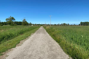 New trail makes nature more accessible at the MSU Corey Marsh Ecological Research Center