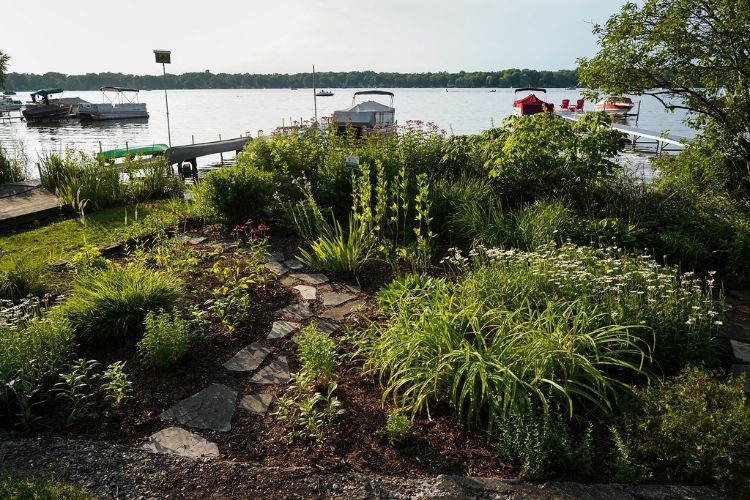 Garden near edge of lake