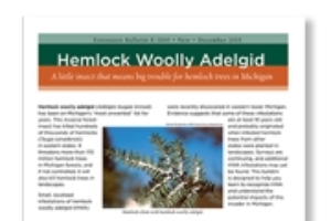 Hemlock Woolly Adelgid (E3300)