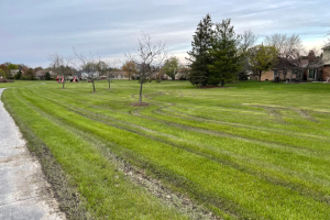 Lawn turf update – May 11, 2022