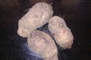 Storing Tender Summer Flowering Bulbs Corms Rhizomes And Tubers