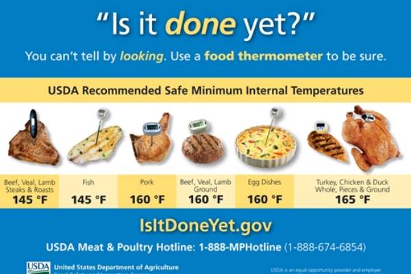 Chicken: How to Properly Take the Internal Temperature with a Meat  Thermometer 