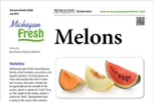 Michigan Fresh: Melons (E3250)