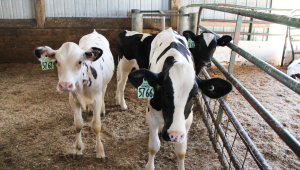 Infrastructure Investment for a New State-of-the-Art Dairy Research and Teaching Facility
