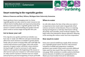 Smart watering in the vegetable garden