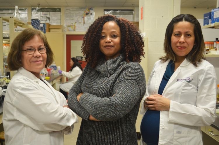 MSU researchers Evangelyn Alocilja, Jade Mitchell and Ilce Medina Meza are advancing global health through disease detection and prevention.