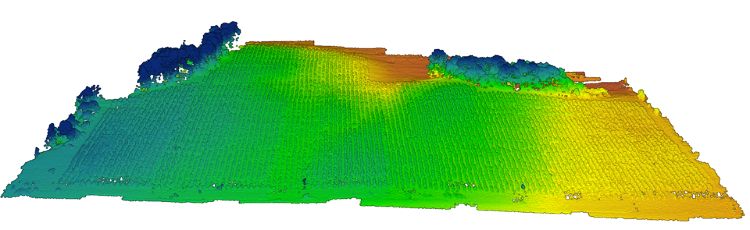 3-D image of vineyard.