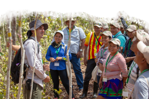Empowering People to Restore Tropical Forests