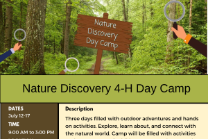Nature Discovery 4-H Day Camp