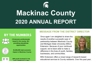 Mackinac County Annual Report: 2020