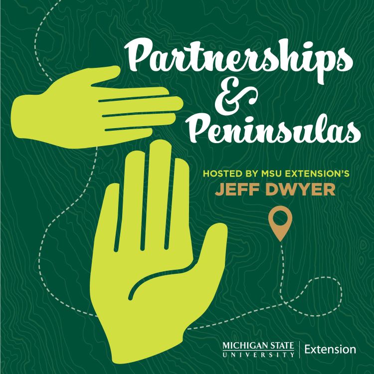 Partnerships and Peninsulas cover art.
