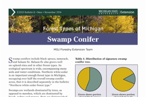 Forest Types of Michigan: Swamp Conifer (E3202-8)