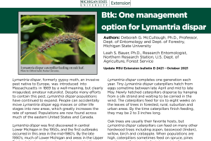 Btk: One Management Option for Spongy Moth