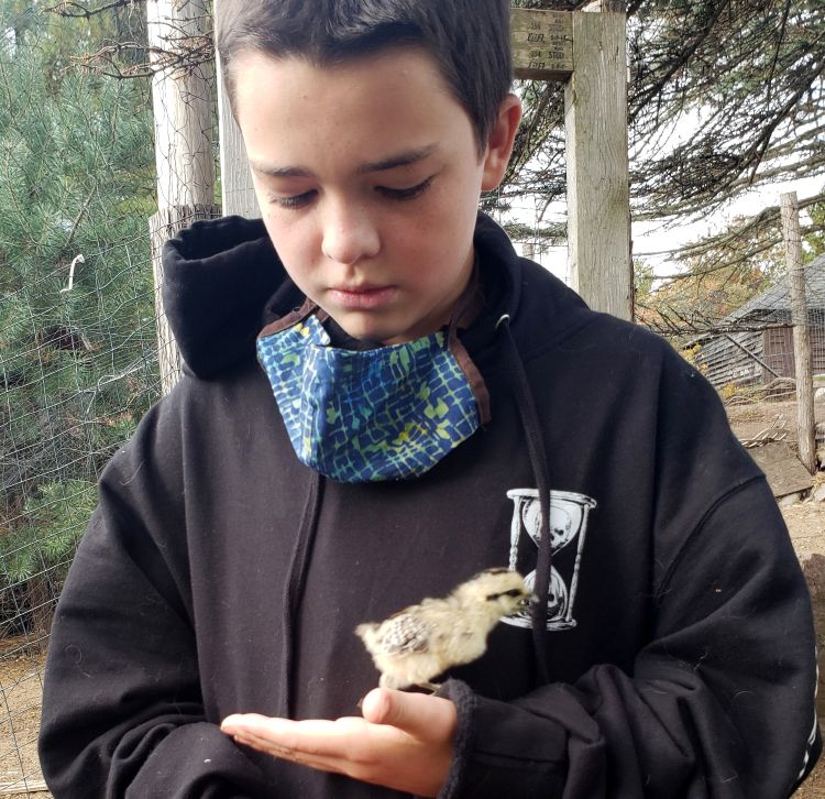 Boy holding chick