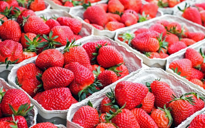 Strawberries and the science behind them - 4-H Plants, Soils ...
