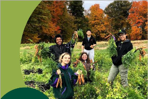MSU Student Organic Farm 2019 Annual Report