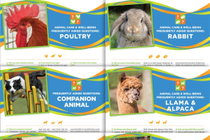 4-H Animal Care & Well-Being Posters – Set of 6 4H1719