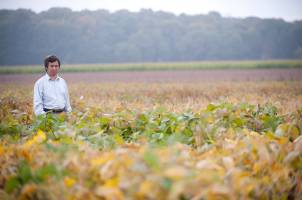 Michigan State University Plant, Soil and Microbial Sciences Professor Dechun Wang is focused on soybean research