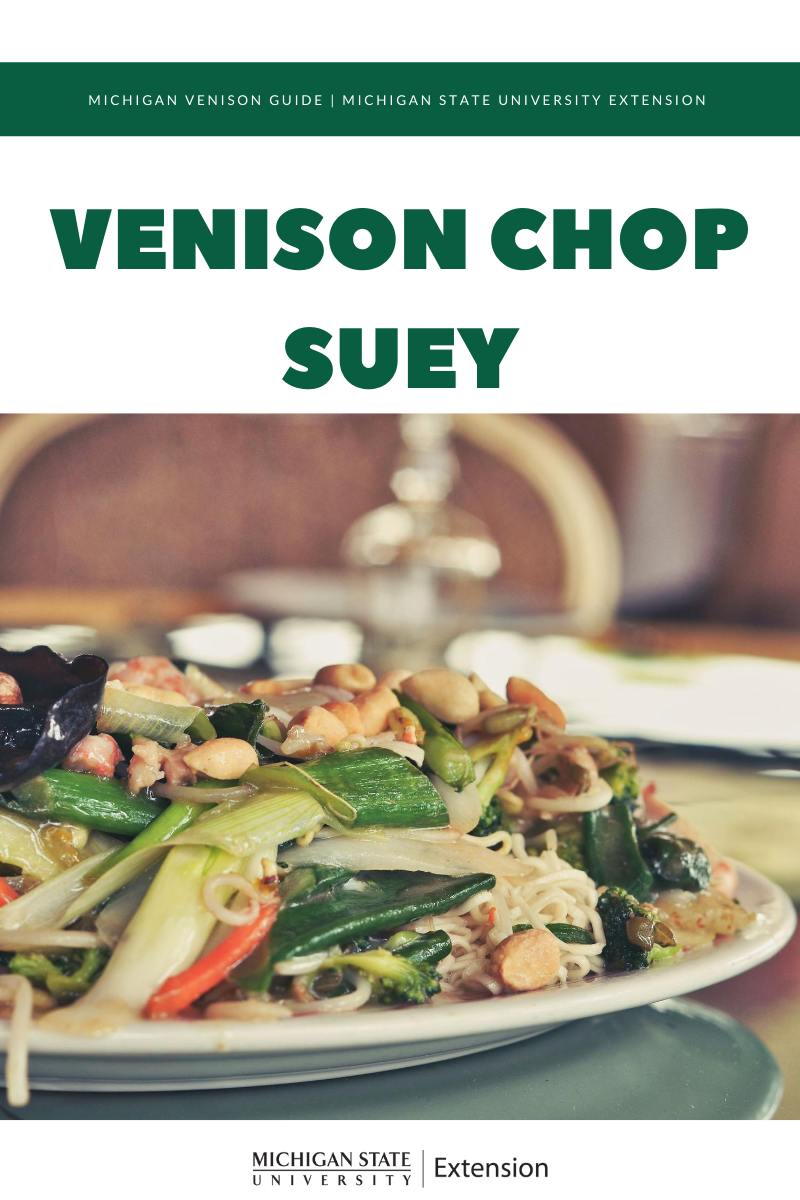 Image of the Venison Chop Suey