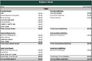 farm business plan worksheet balance sheet