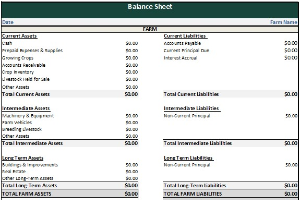Farm Balance Sheet Template