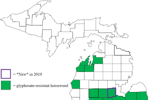2020 Status of herbicide-resistant weeds in Michigan