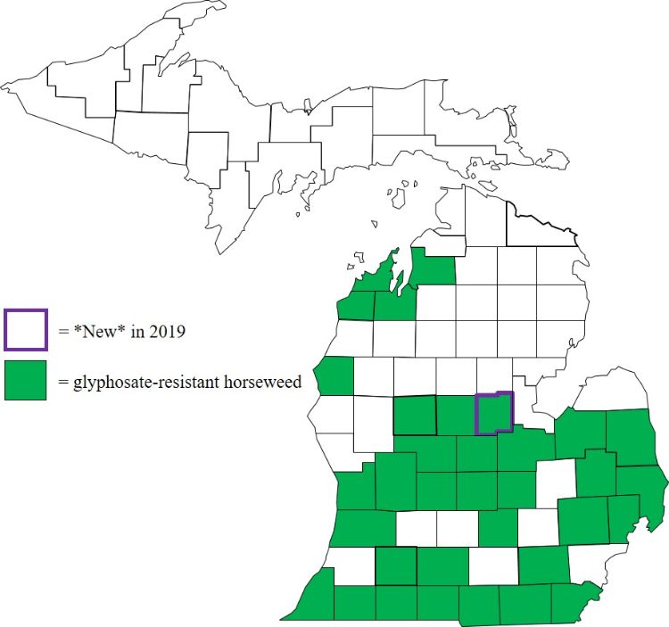 Figure 1. Distribution of glyphosate-resistant horseweed in Michigan by county.