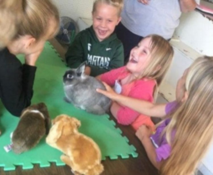 Children touching a rabbit