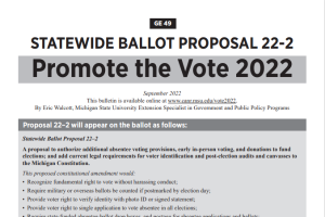 Statewide Ballot Proposal 22-2: Promote the Vote 2022