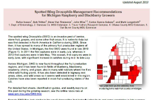 Spotted Wing Drosophila Management Recommendations for Michigan Raspberry and Blackberry Growers