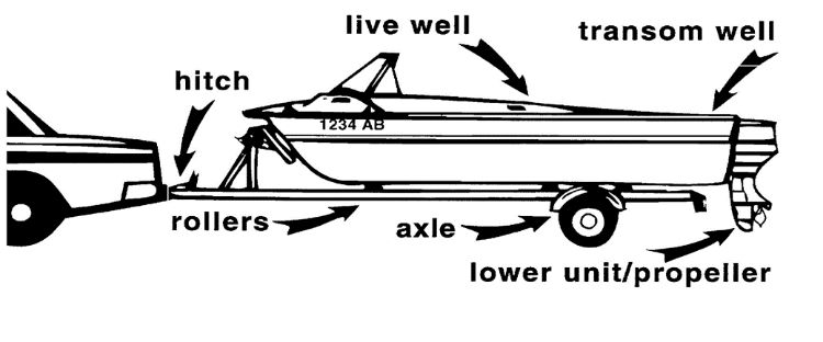 These are the most common areas where AIS hitchhike on watercraft.