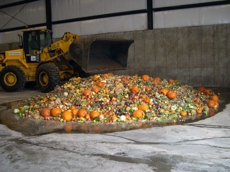 Discarded fruits and vegetables used to produce biogas in a high-solids anaerobic digester. The biogas is burned to generate electricity. Photo credit: M. Charles Gould.