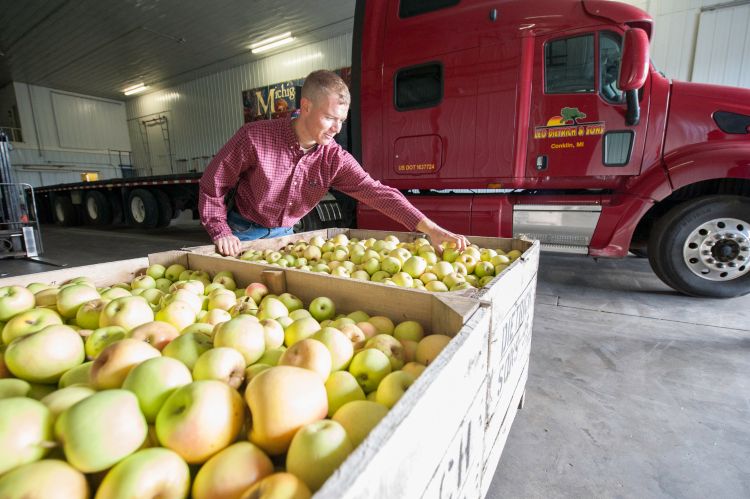 Adam Dietrich, MSU alumnus and grower at Leo Dietrich and Sons, is calling this year's apple crop 