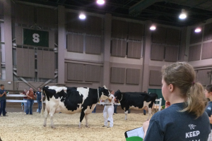 2023 Michigan 4-H Youth Dairy Days in review