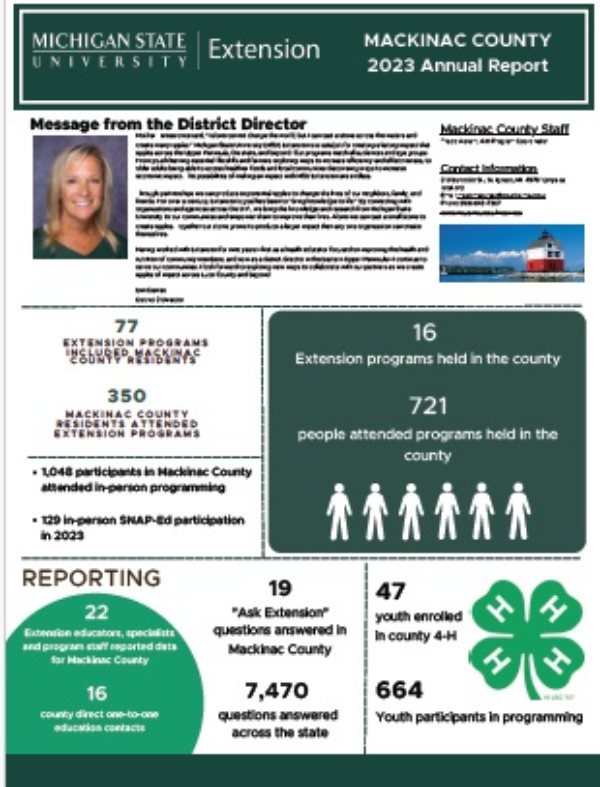 This image is a cover page with impact data listed in the document summary along with the director's message.