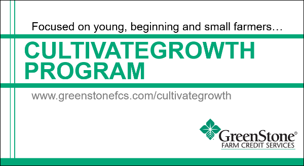 powerpoint presentation slide