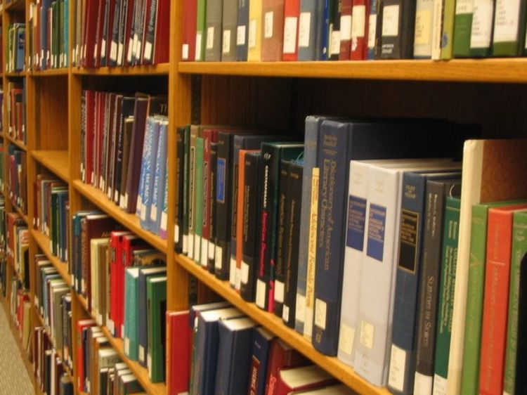 An angled shot of various books on a wooden bookcase.