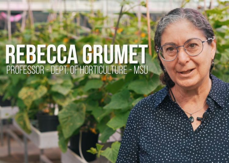 Dr. Rebecca Grumet