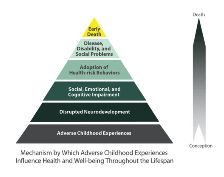 Chart source: CDC, National Center for Injury Prevention and Control, Division of Violence Prevention