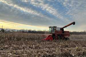 Adjusting marketing strategies with old crop grain still on-farm