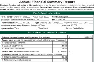 How do I complete an Annual Financial Summary Report?