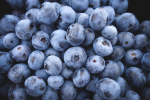 Blueberries and the science behind them