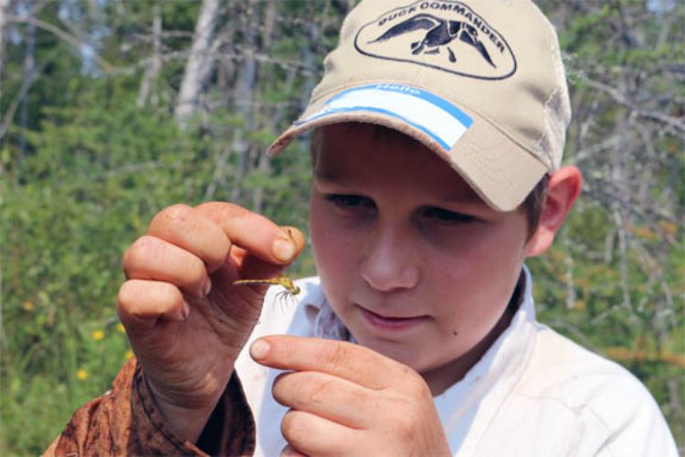 Alcona County 4-H Youth help hunt for invasive species while mapping potential habitat for the endangered Hines Emerald Dragonfly at Negwegon State Park. Photo credit: Michigan Sea Grant