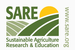 research on sustainable management