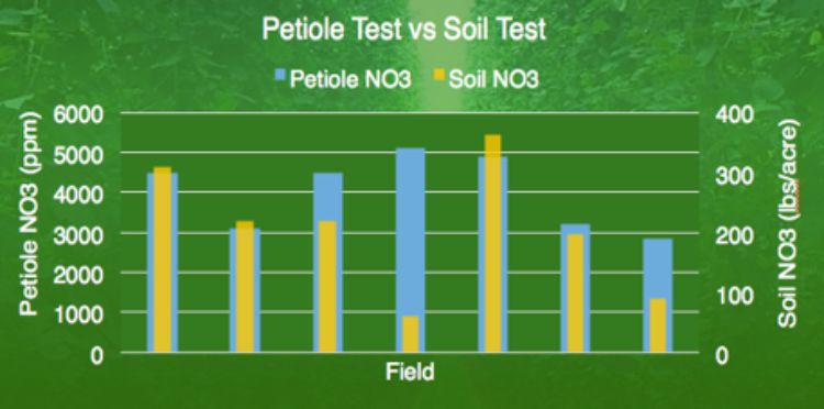 Figure 1. A comparison of petiole vs. soil nitrate levels for hops. Source: Sara Del Moro, 2014 Great Lakes Hop & Barley Conference.