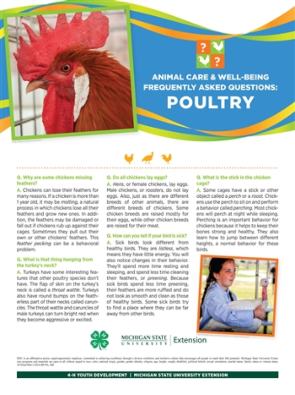 Poster of poultry information.